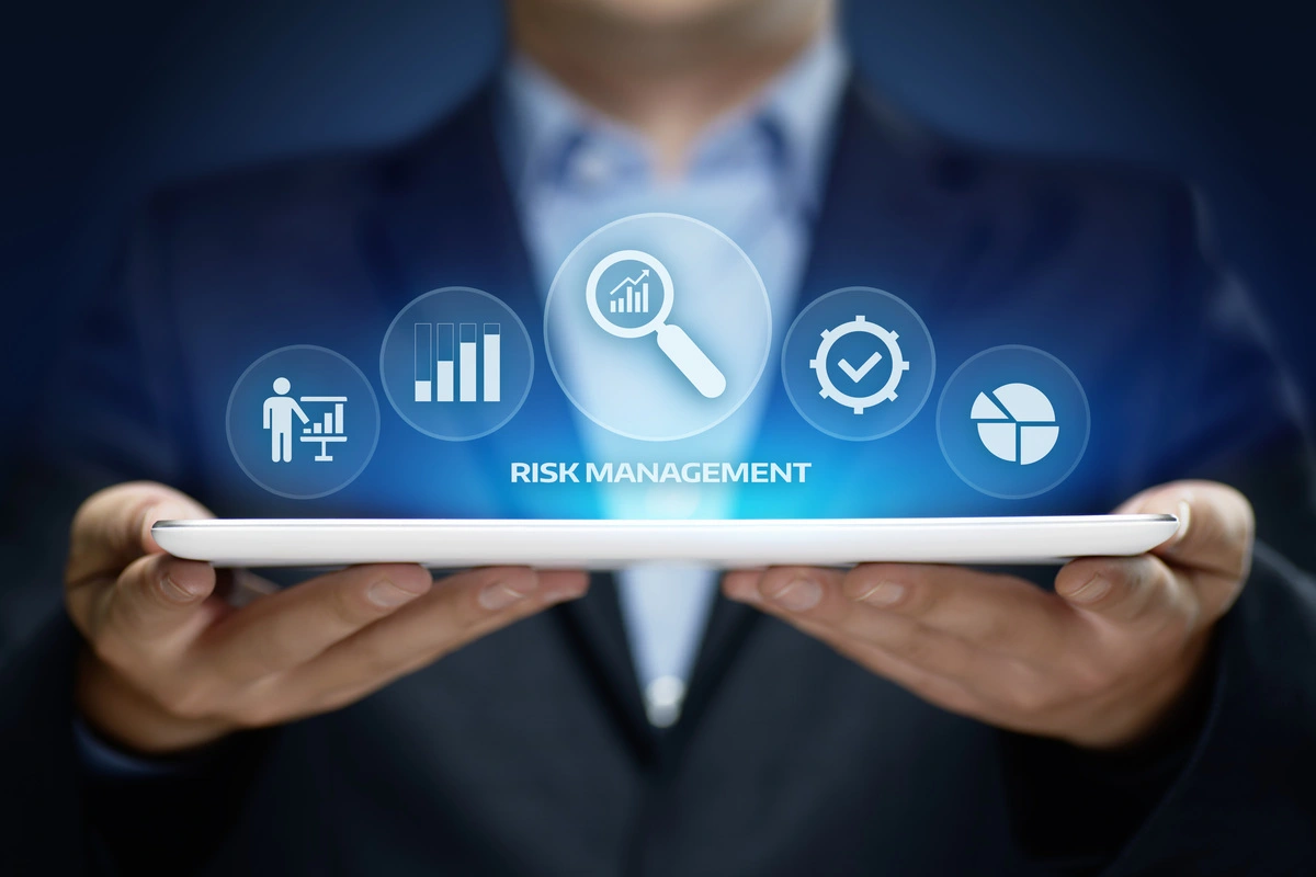 What are the five 5 elements of risk management_ (1)